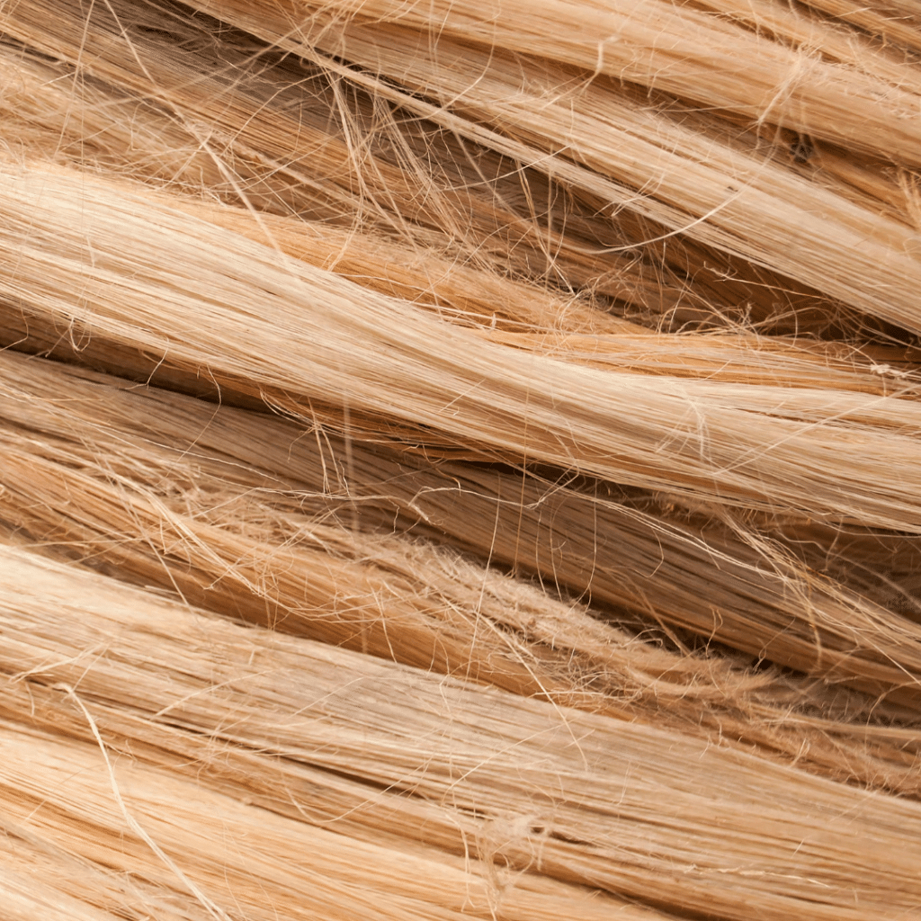 How to reduce frizz and achieve smoother shiny hair – The Pionears